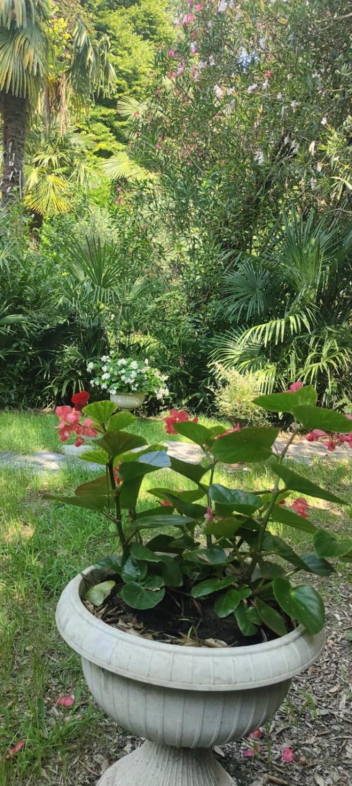 Appartamento Villaluigia - Oasi Le Palme Padova