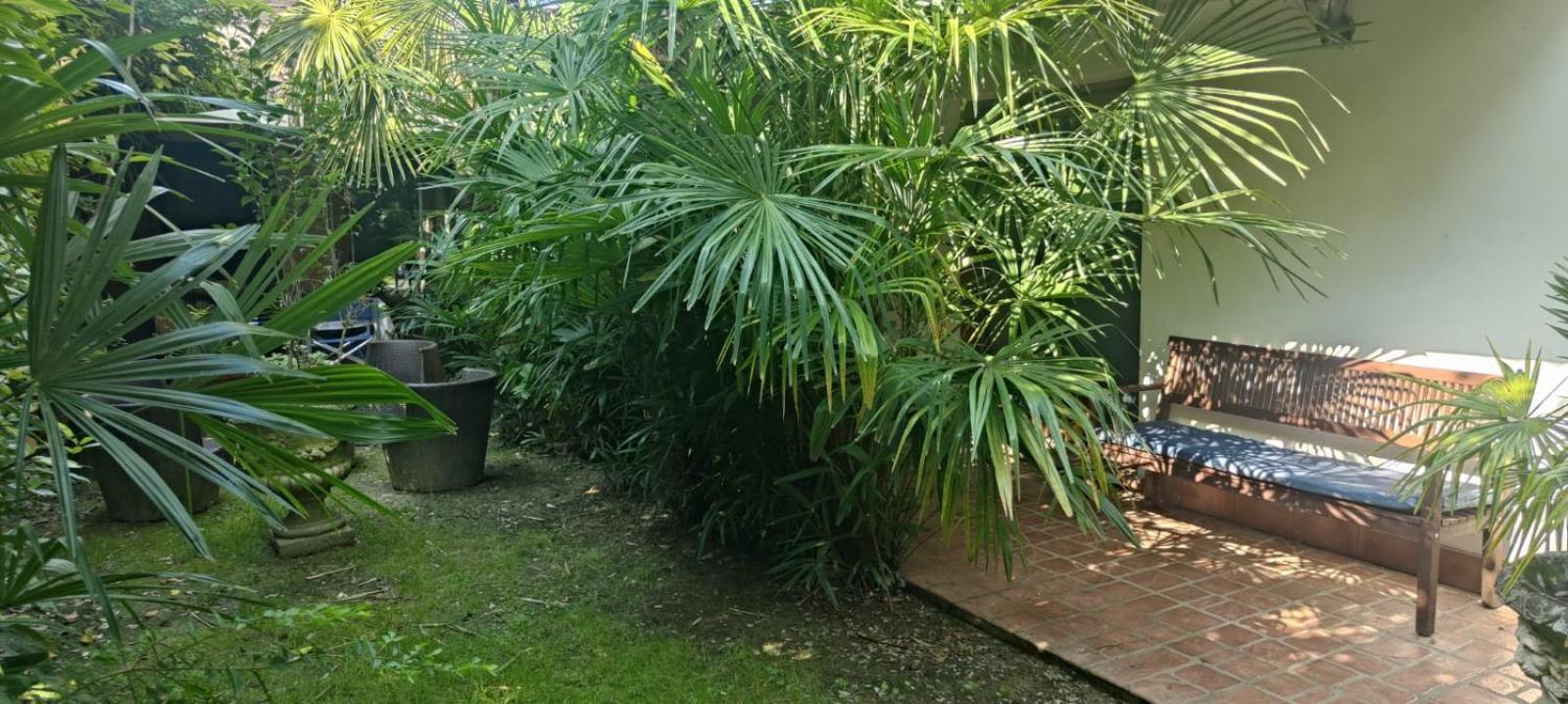 Villaluigia - Oasi Le Palme * Padova