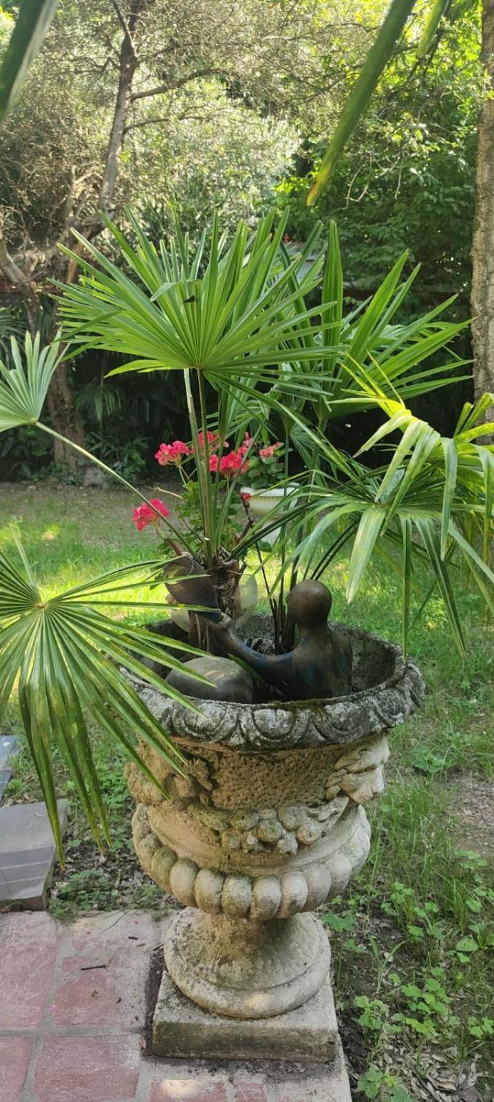Appartamento Villaluigia - Oasi Le Palme