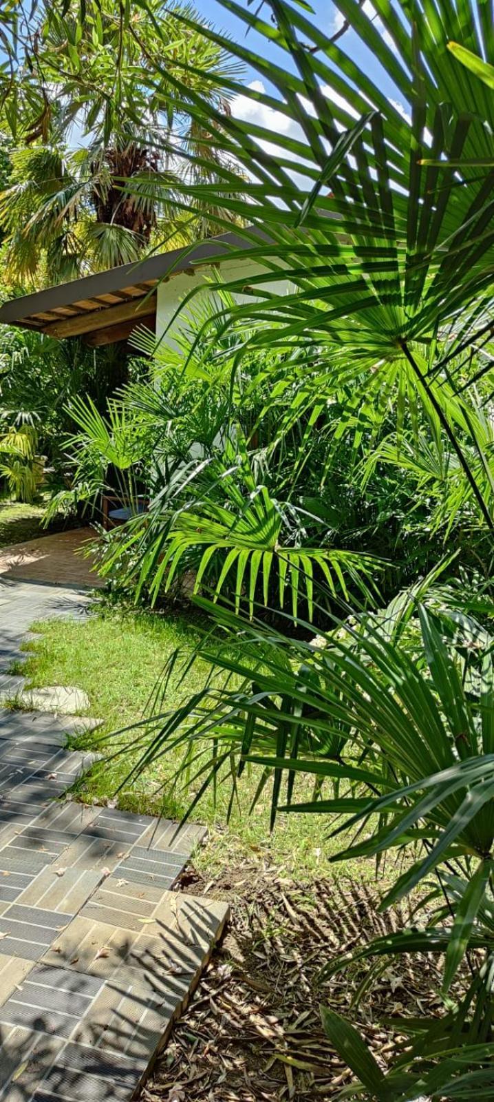 Appartamento Villaluigia - Oasi Le Palme *