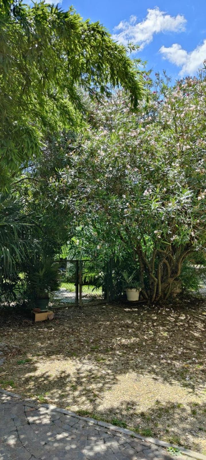 Villaluigia - Oasi Le Palme Appartamento Padova